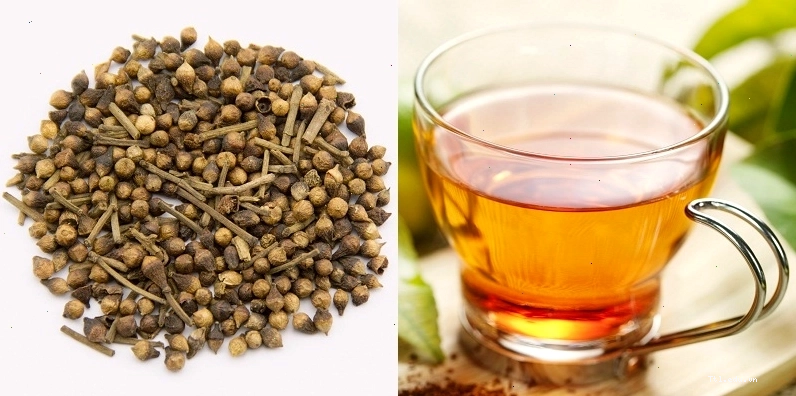 Nên dùng nụ, lá vối khô để pha trà
