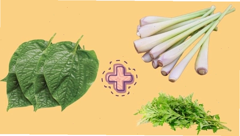 Ngâm chân với lá lốt, sả và ngải cứu, có thể hỗ trợ điều trị cảm cúm