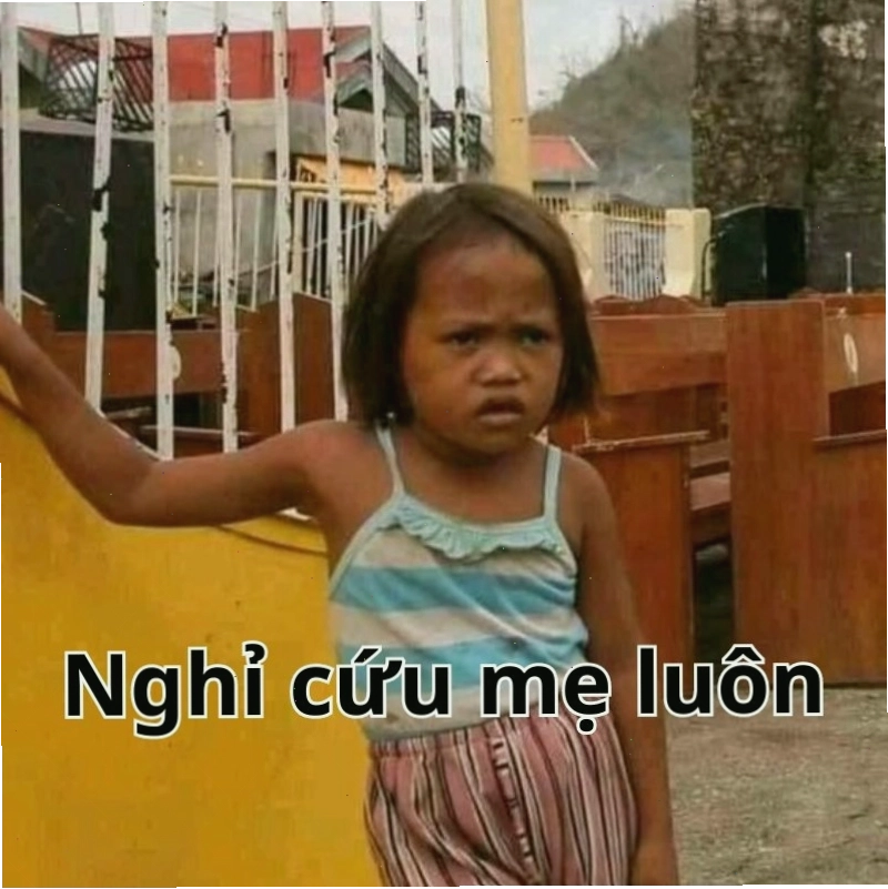 Nghiên cứu meme hết cứu