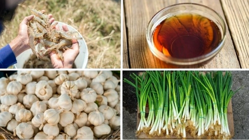 Nguyên liệu làm tôm rim mặn ngọt gồm tôm tươi, nước mắm, đường, tỏi ớt