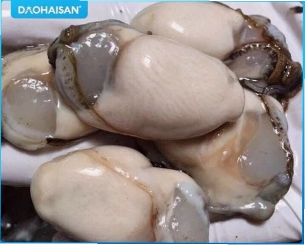 Nhẹ nhàng làm sạch phần thịt hàu sau khi tách vỏ
