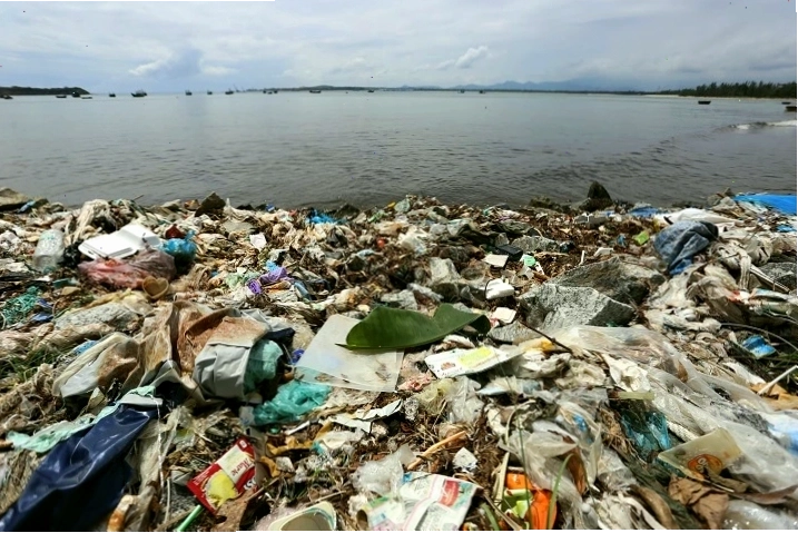 Rác thải nhựa trôi nổi trên mặt biển, đe dọa sinh vật biển