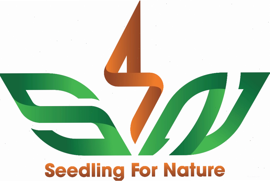 S4N – Seedling for nature: Nỗ lực vì một môi trường xanh