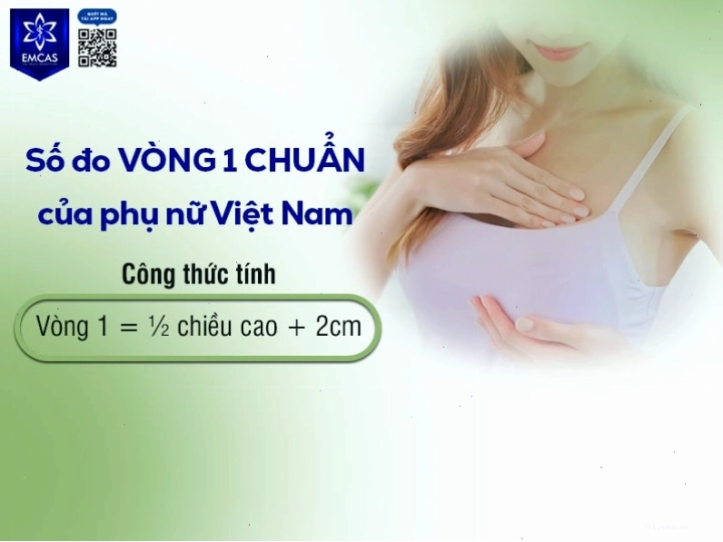 Số đo vòng ngực trung bình của phụ nữ Việt Nam
