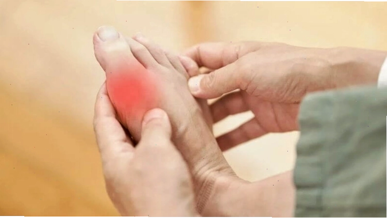 Tác dụng của kim ngân hoa trong việc giảm acid uric máu