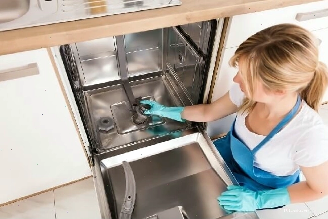 Thực hiện vệ sinh máy rửa bát thường xuyên