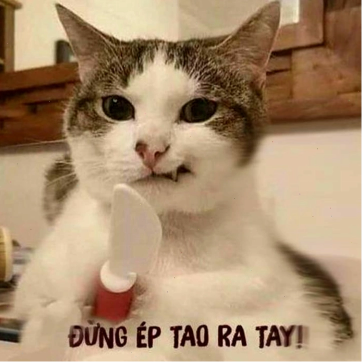 Tổng hợp meme tức giận cute, biểu cảm giận dữ dễ thương