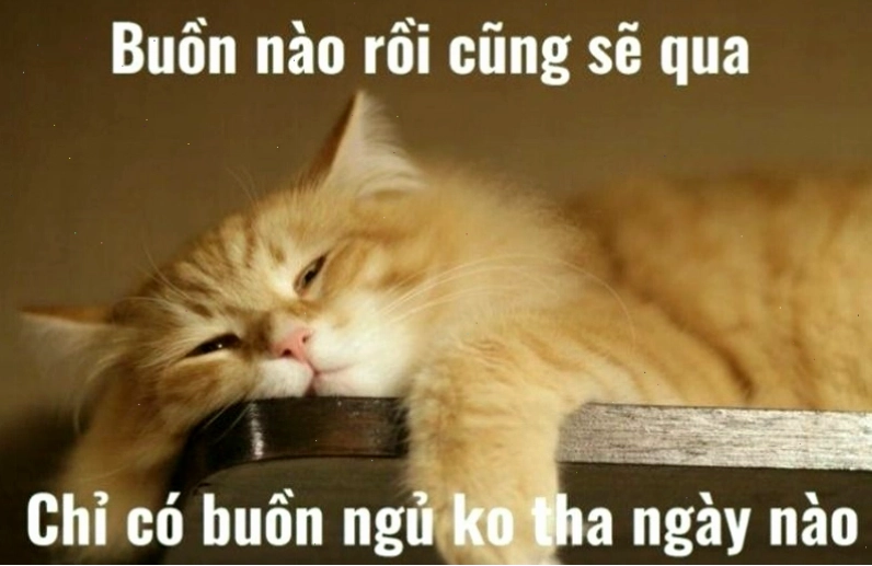 Ý nghĩa của meme chúc ngủ ngon trong việc thể hiện tình cảm