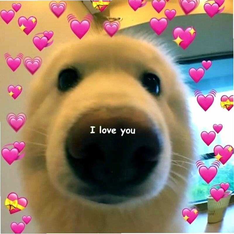 Ý nghĩa của meme tình yêu thể hiện sự lãng mạn