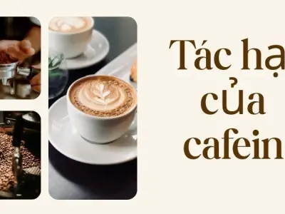 Tác hại của cafein bạn cần biết trước khi uống mỗi ngày