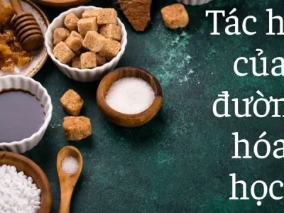 Tác hại của đường hóa học làm tăng nguy cơ béo phì