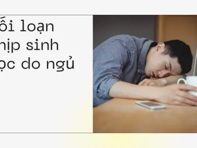 Ngủ nướng khiến tôi mệt mỏi và lười vận động thế nào