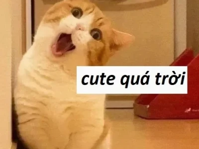 140+ Ảnh Meme Khen Độc Đáo Tôn Vinh Tài Năng Bạn