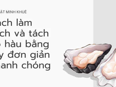 Bí quyết sơ chế hàu sống không tanh đơn giản tại nhà