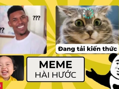 BST Ảnh Avatar Meme Mèo Bựa Hài Hước Nhất 2026