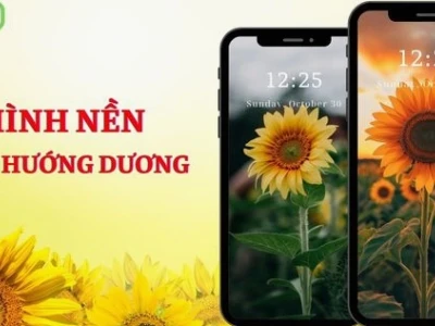 Chiêm ngưỡng 655+ Ảnh Hoa Hướng Dương Đẹp Nhất 2026: Biểu tượng Lạc Quan và Sức Sống