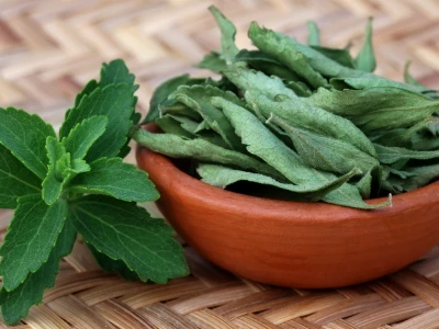 Cỏ ngọt: Tiềm năng và những tác hại tiềm ẩn cần biết
