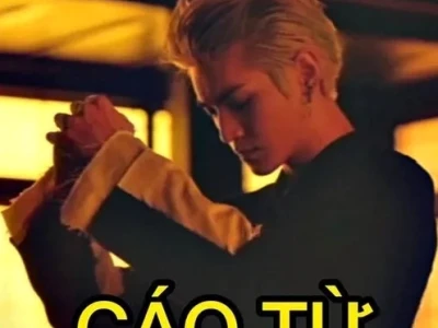 Khám Phá Bộ 30+ Ảnh Meme Cáo Từ Siêu Hài Hước