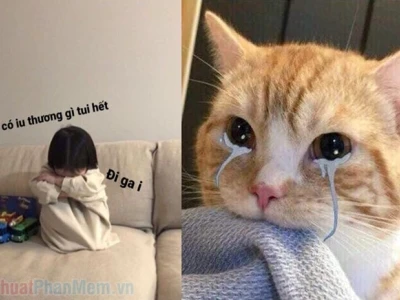 Khám phá kho meme giận dỗi cute và biểu cảm hờn mát nhất 2026