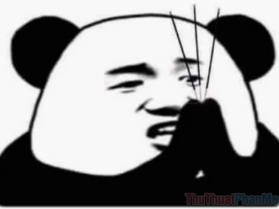 Khám phá meme gấu trúc Trung Quốc: Từ hài hước đến biểu tượng văn hóa mạng