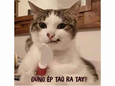 Khám Phá Thế Giới Meme Vui Nhộn Cập Nhật Năm 2026