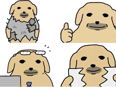 Ngắm nhìn bộ sưu tập ảnh chó meme cười thả ga năm 2026