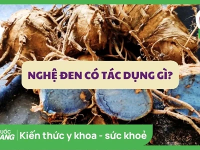 Nghệ đen: Tác hại và những điều cần biết trước khi sử dụng