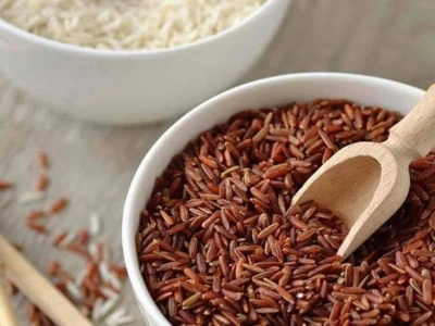 Tác hại của gạo lứt: Hiểm họa tiềm ẩn đối với sức khỏe