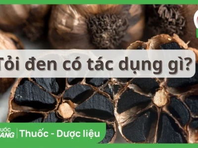 Tác hại của tỏi đen: Những ảnh hưởng sức khỏe cần lưu ý