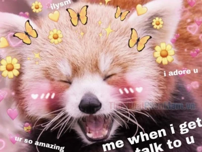 Tổng hợp 180+ Meme Tình Yêu Hài Hước, Dễ Thương Nhất 2026