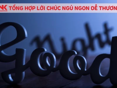 Tuyển tập meme chúc ngủ ngon cute: Lan tỏa yêu thương trước khi đi ngủ